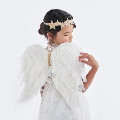 메리메리  Fairy Wings Dress-Up Kit